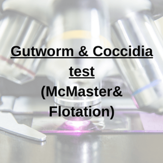 Gutworm & Coccidia Test