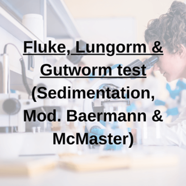 Fluke, Lungworm & Gutworm Test