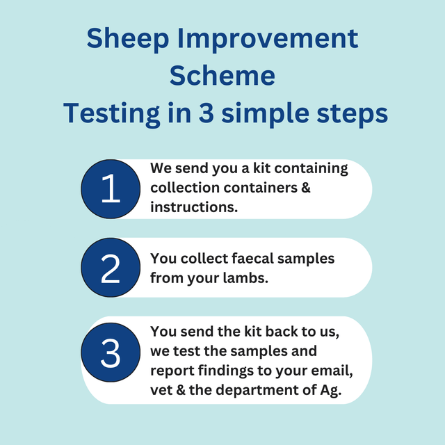 Sheep Improvement Scheme Hill Kit. (SIS)