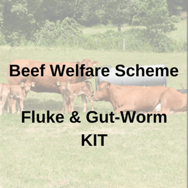 Beef Welfare Scheme (BWS) Fluke & Gut-Worm Test KIT