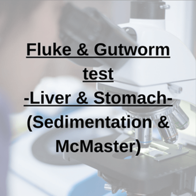 Fluke & Gutworm test (Liver & Stomach Fluke + Gutworm)