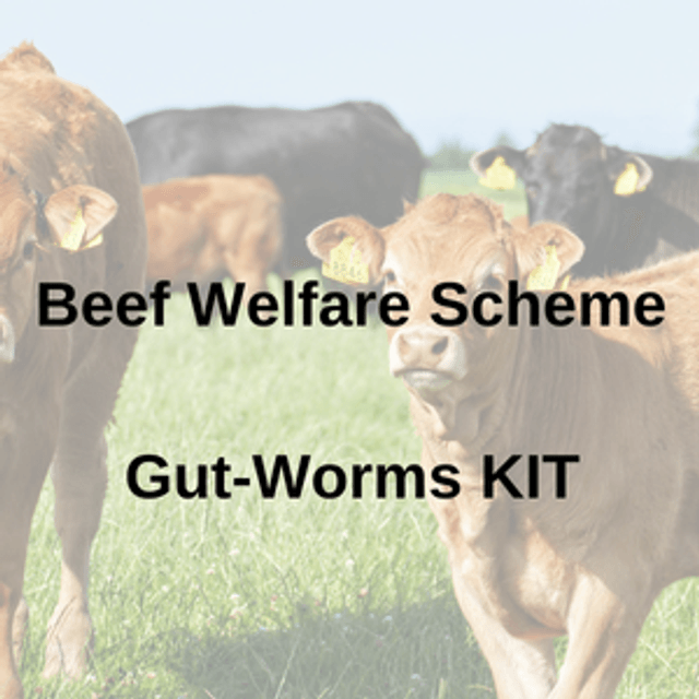 Beef Welfare Scheme (BWS) Gut-Worm & Coccidia Test KIT