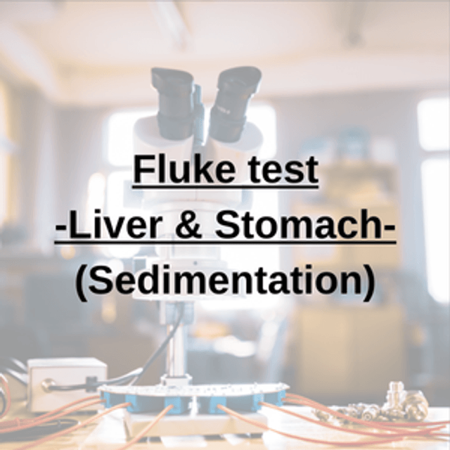 Fluke test (Liver & Stomach Fluke)