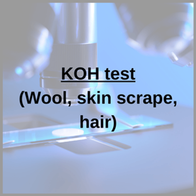 KOH test (Wool, skin scrape, hair)