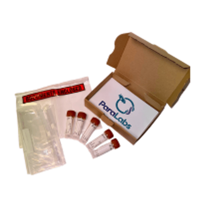 Fluke & Gutworm test (Liver & Stomach Fluke + Gutworm)