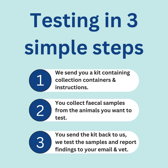 Fluke, Lungworm & Gutworm Test
