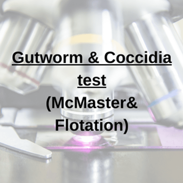 Gutworm &amp; Coccidia Test