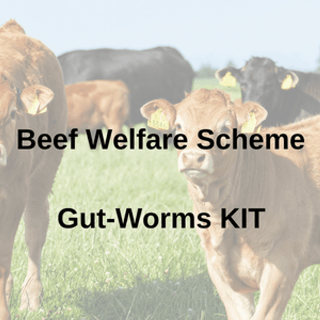 Beef Welfare Scheme (BWS) Gut-Worm &amp; Coccidia Test KIT