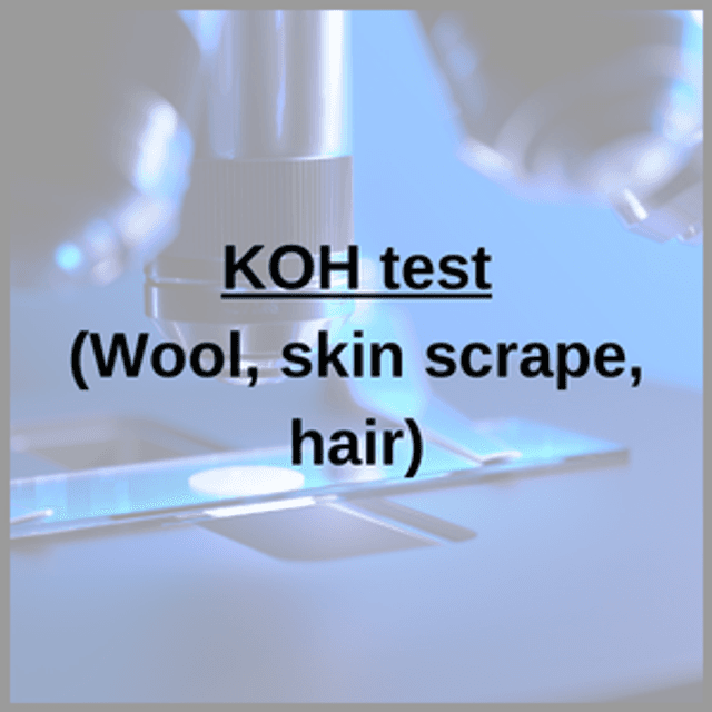 KOH test (Wool, skin scrape, hair)